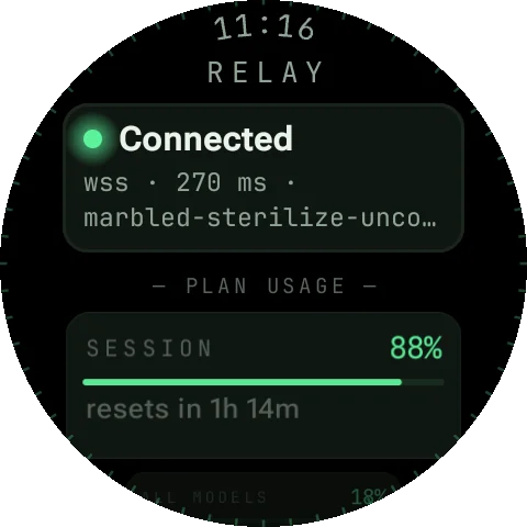 PeakWatch watch screen: Plan usage — Session and weekly limits with reset times.
